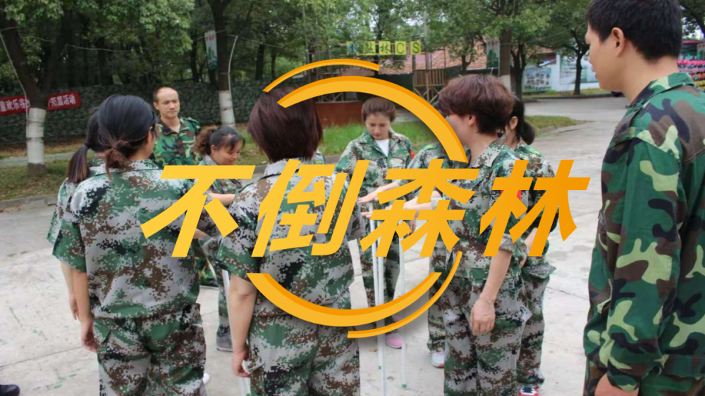 不倒森林