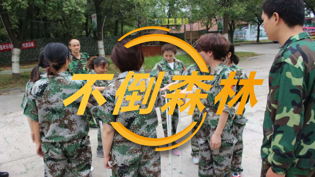 不倒森林